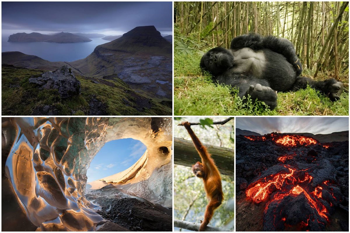 Erez Marom, el fotógrafo de la naturaleza