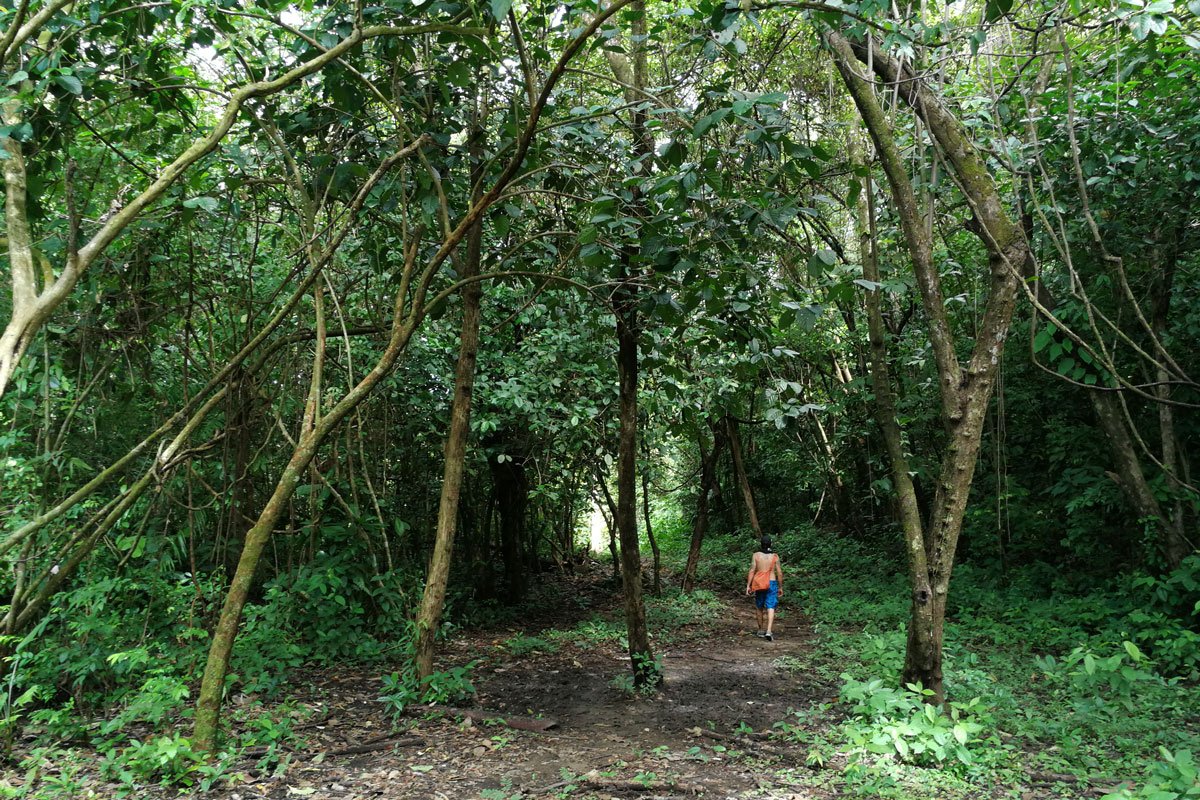 Crónica de un viaje por el inexpugnable tapón del Darién