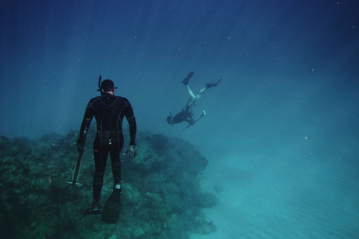 bucear en colombia, buceo Malpelo