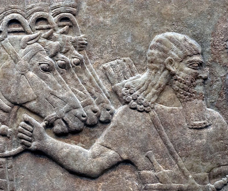 ¿Por qué destruyen museos y bibliotecas durante la guerra?