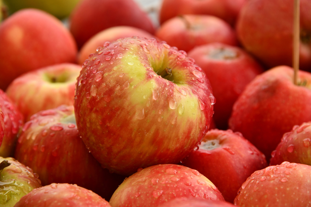 ¿Qué es y para qué sirve el vinagre de manzana?