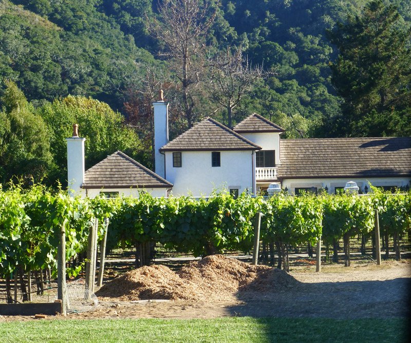 La costa central de California: un destino para los amantes del vino