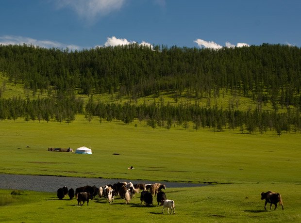 tsenkher_hot_spring_mongolia