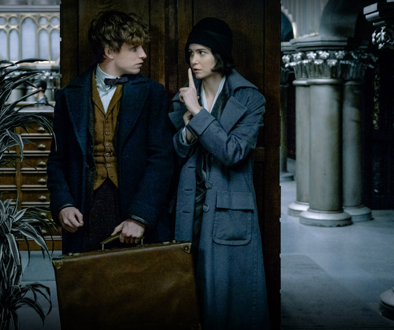 Disfrute una fiesta temática de Harry Potter por el estreno de “Fantastic Beasts”