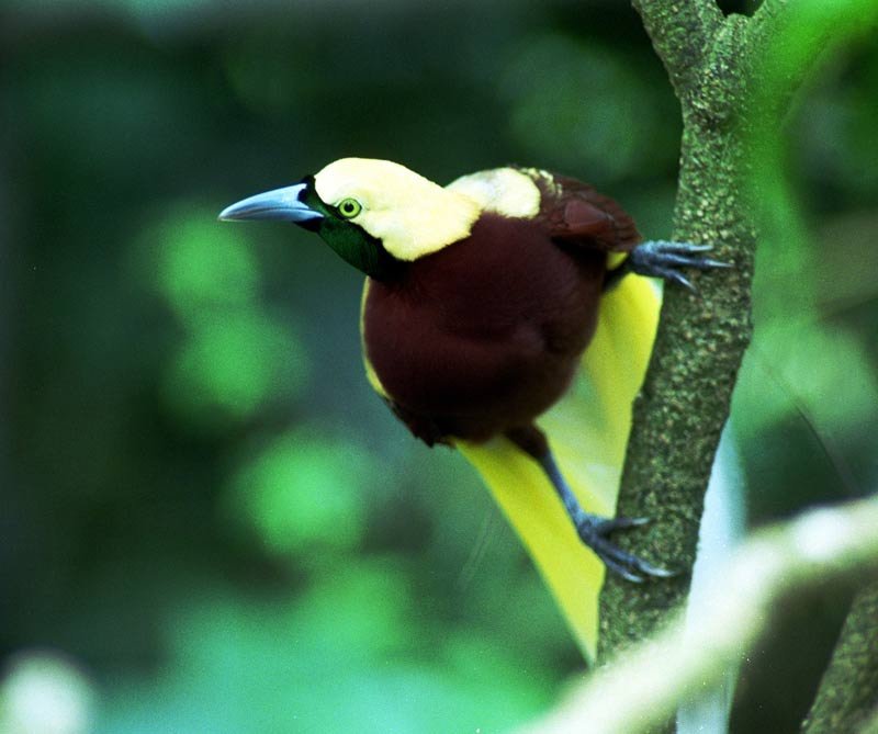 Estas son las novedades que dejó la Feria Internacional de ecoturismo