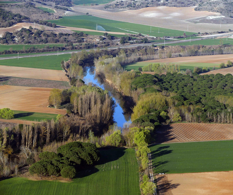 La Ribera del Duero, un tesoro bien guardado
