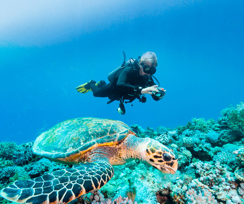 Disfrute unas vacaciones increíbles en Aruba, el destino del mes en LATAM Airlines
