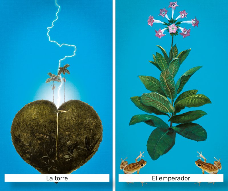 Los tres arcanos mayores: el tarot de la biodiversidad en el Instituto Humboldt