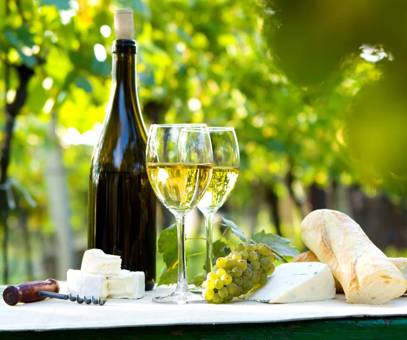 Cuatro beneficios del vino para la salud que probablemente no conocía