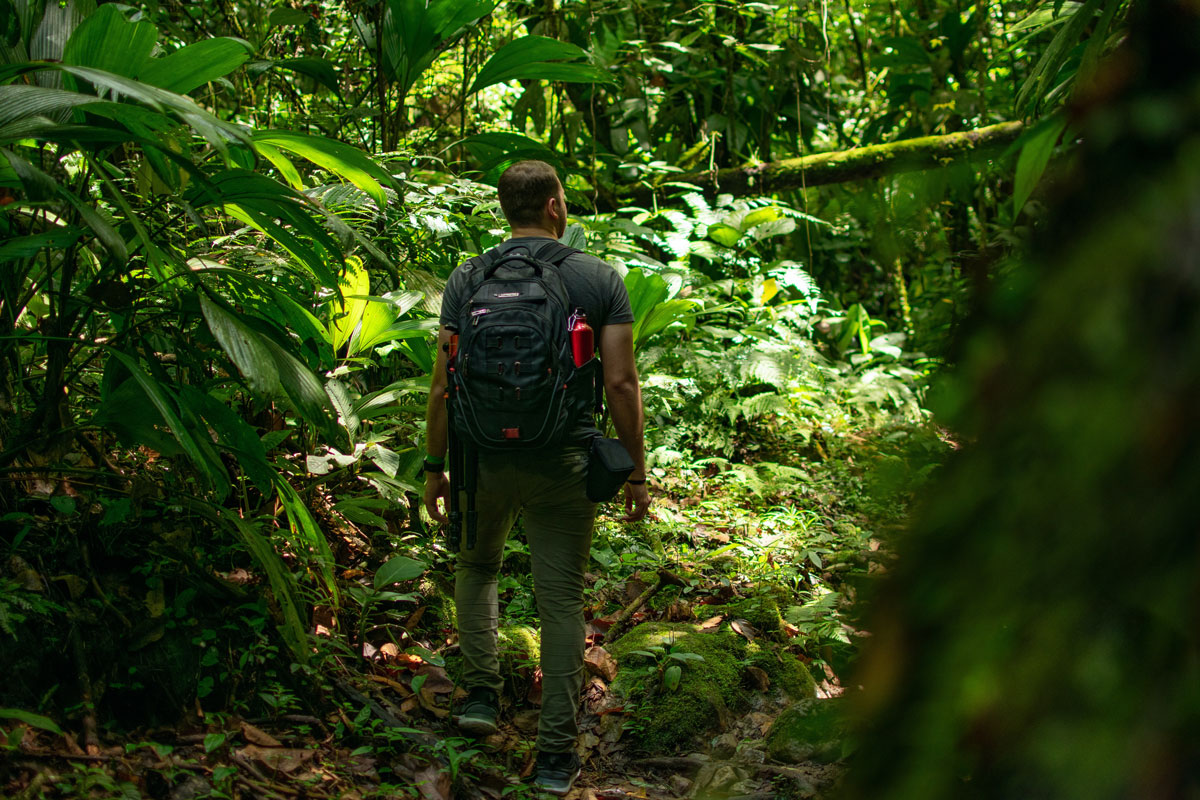 5 lugares para hacer ecoturismo en Colombia
