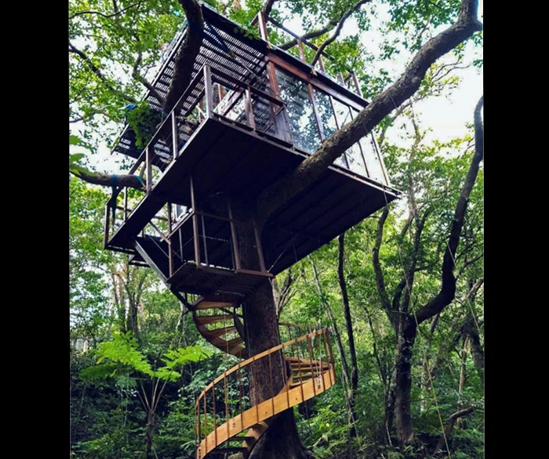 Las cinco casas en los árboles más impresionantes del mundo