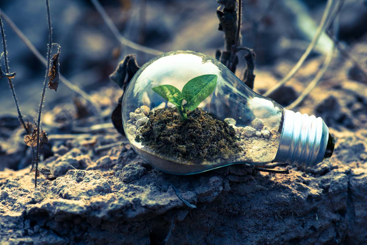 Vea las mejores empresas colombianas responsables con el medio ambiente