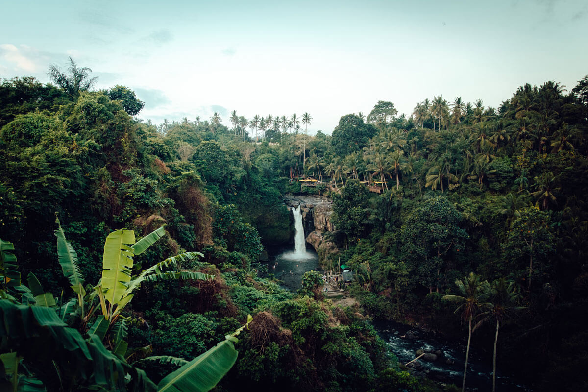 La selva del Amazonas, un lugar para meditar sobre el pasado