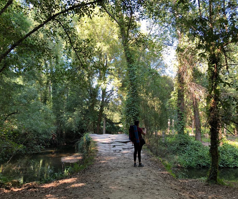 Buen camino en el Camino de Santiago