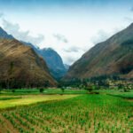 Perú: Continúe el recorrido en Perú donde está floreciendo la cultura del café. Esta zona es la tercera más grande de cafetales en América del Sur y hace parte del orgullo gastronómico del país, pues su café tiene un sabor balanceado con notas achocolatadas, cítricas y dulces, ideales para todos los paladares. Encuentre el mejor café en Cusco, gracias a sus cultivos en la zona selvática.