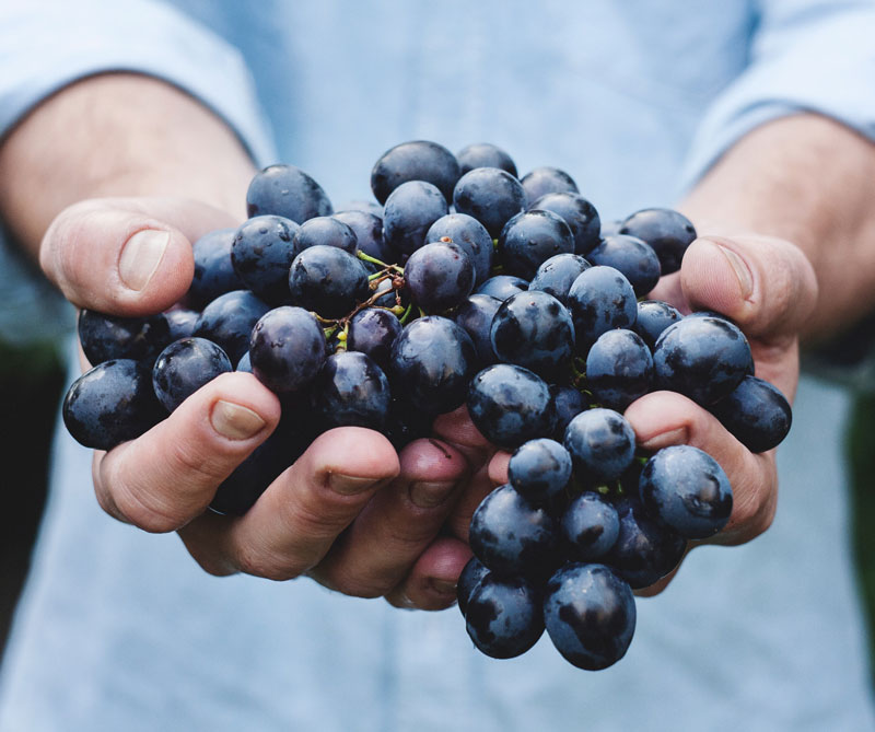 Las uvas de Año Nuevo: suerte a pedir de boca