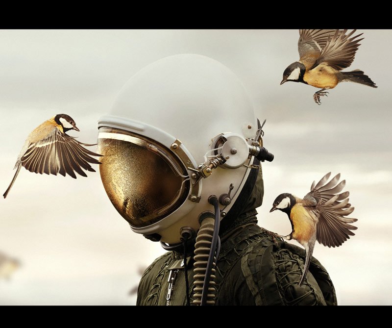 Galería: Vea las fotos finalistas del Sony World Photography Awards 2019