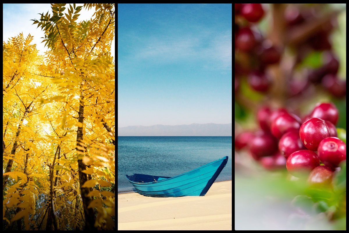 Especial: los colores de Colombia