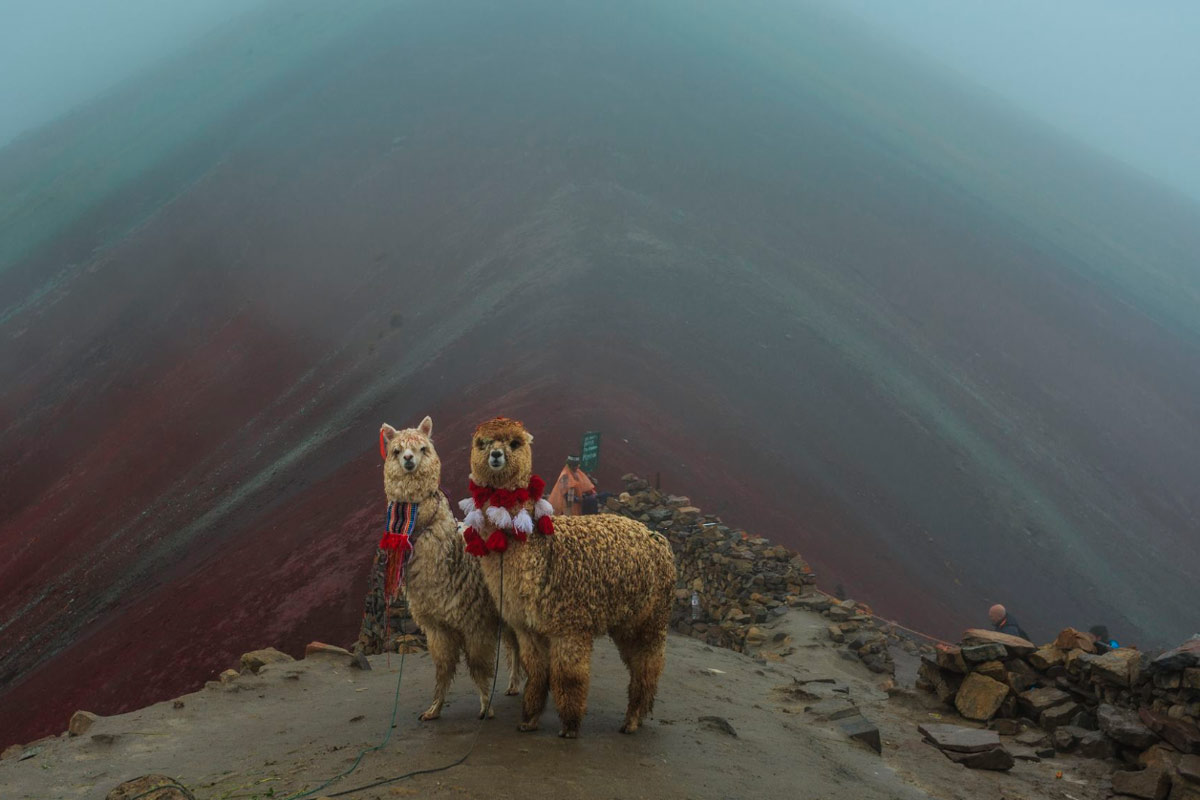 Vea las fotos ganadoras del National Geographic Traveler 2019