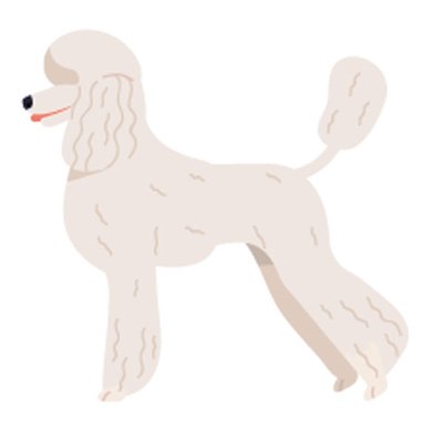 adoptar perros pequeños