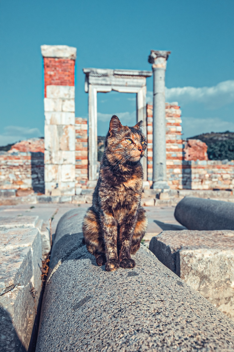 Turquía