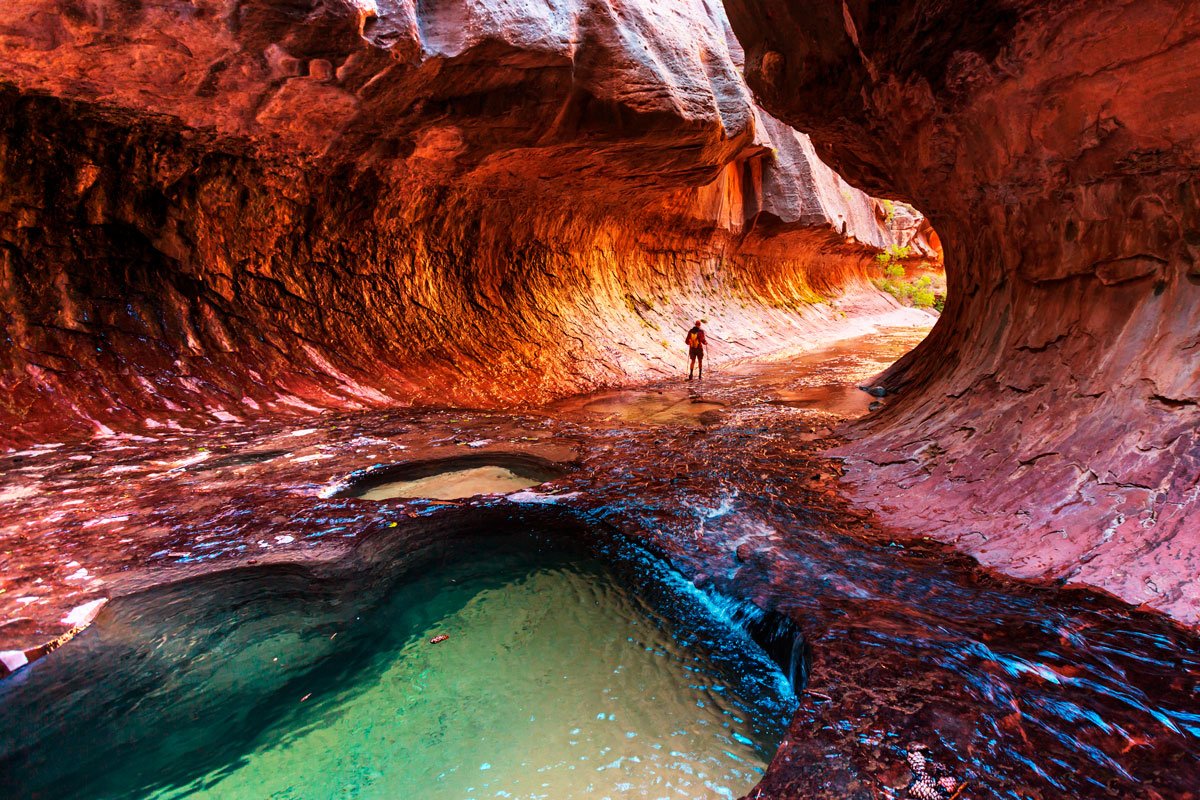 Cinco parques para conocer en su próximo viaje a Estados Unidos