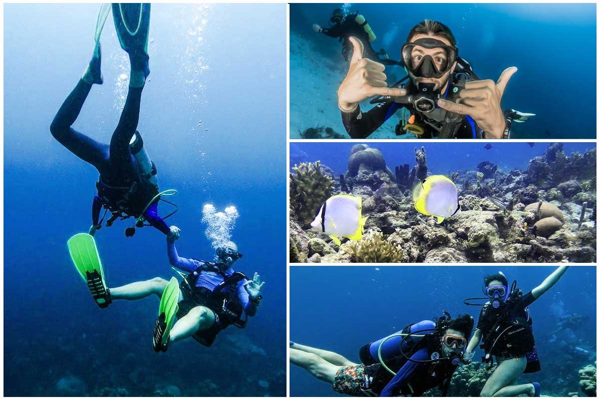 Bucear en Colombia: Siete destinos imperdibles para nadar con peces