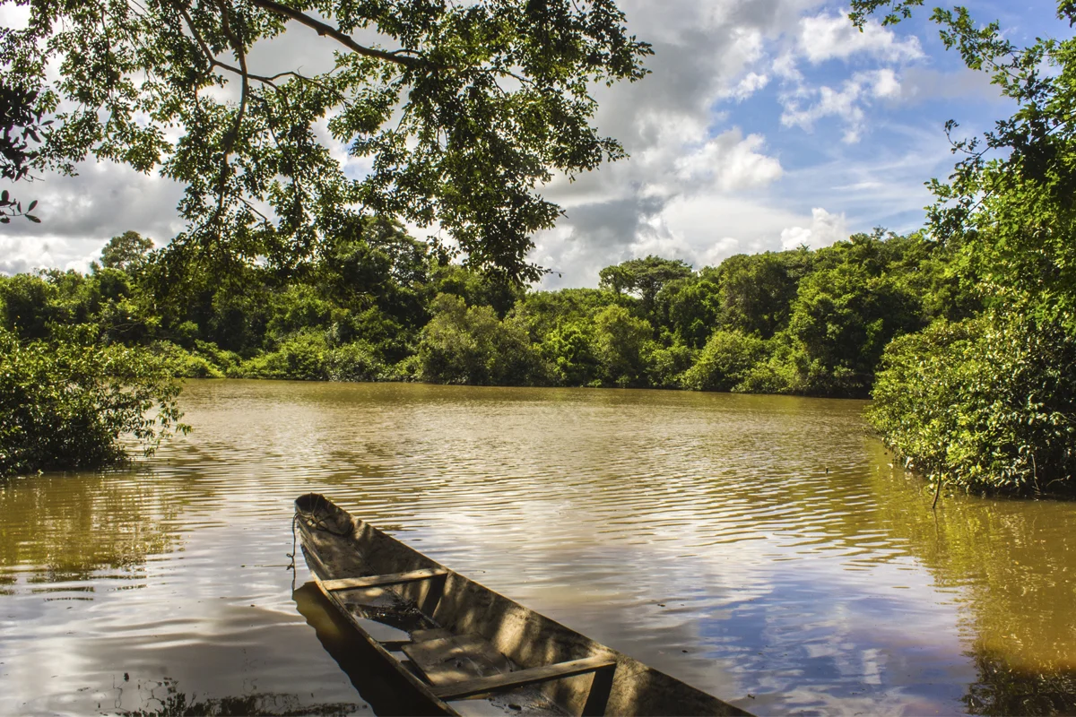 Por la selva, el llano y las montañas: tres planes para disfrutar la naturaleza en Colombia