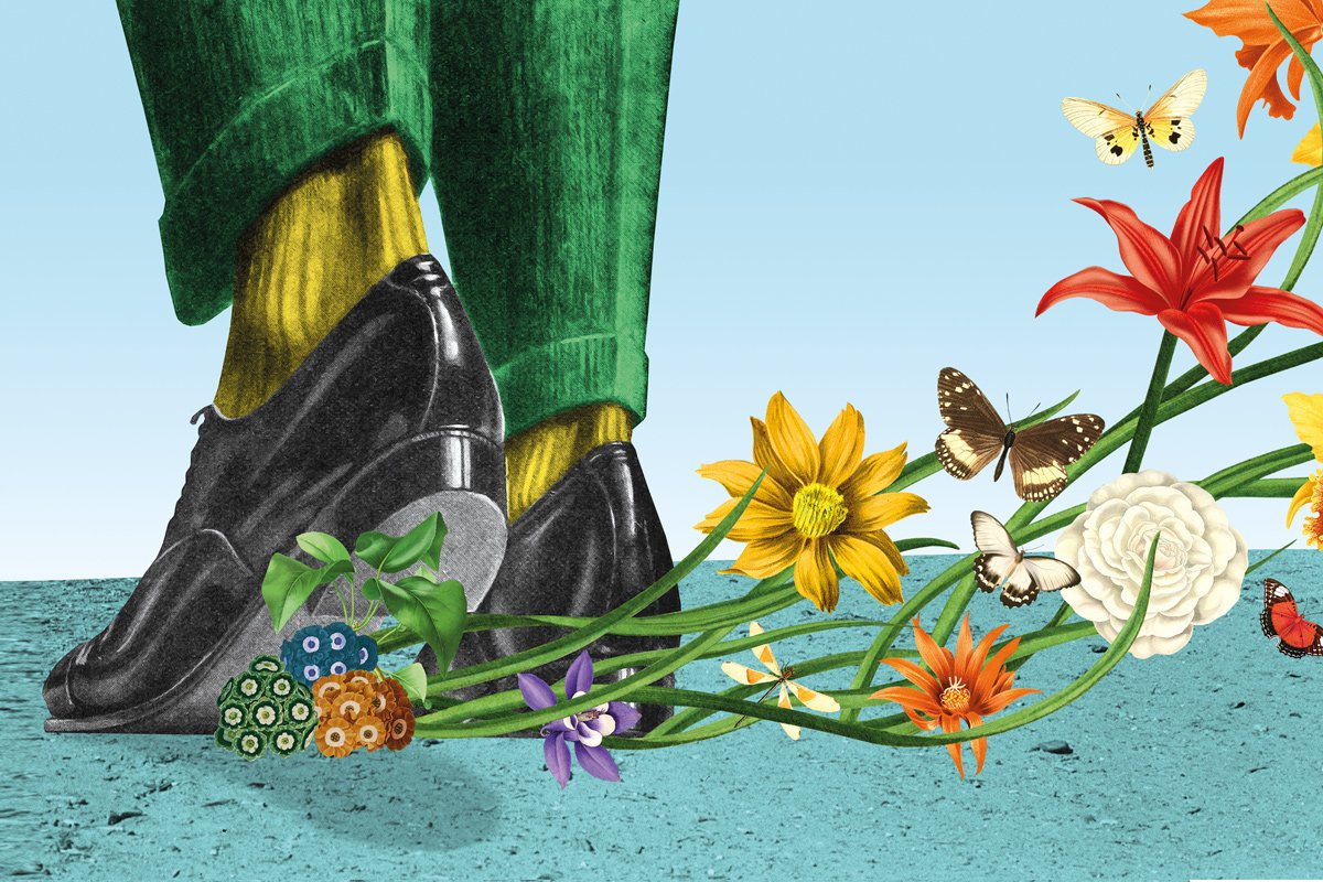 ¿Cuánto cuesta llevar una vida sostenible? Consejos financieros para lograrlo