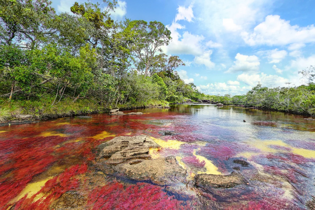 Un recorrido virtual por 5 increíbles parques naturales de Colombia