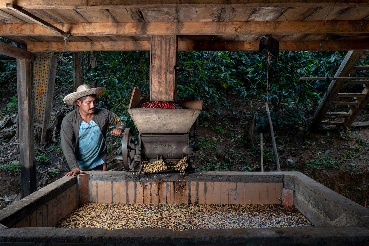 Esperanza de Colombia, Nespresso