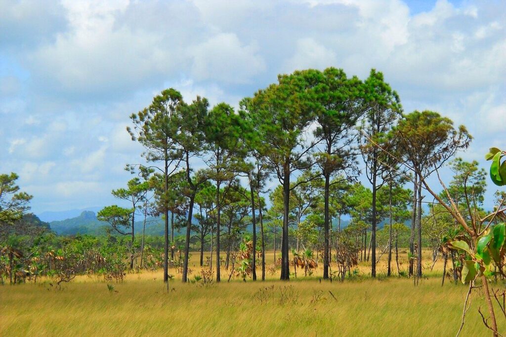 Belice destinos para conectarse con la naturaleza