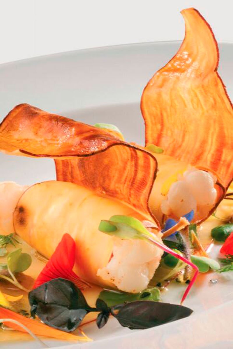 plato Eleven, airbnb