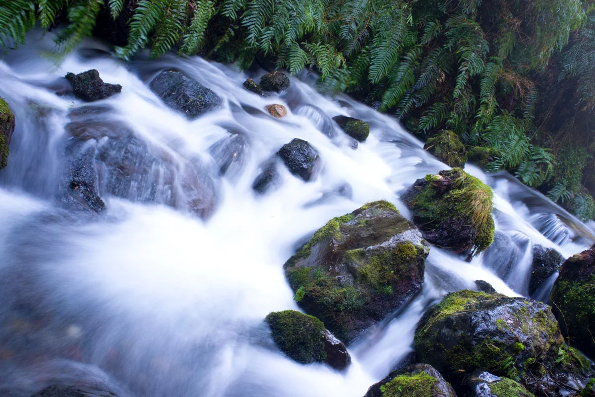¿Sabe usted dónde nacen los ríos de Colombia?