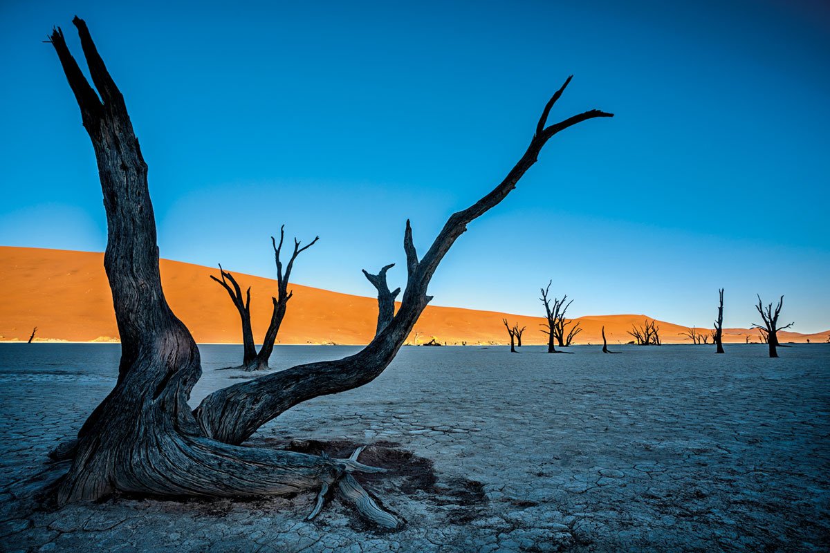 fotógrafo colombiano