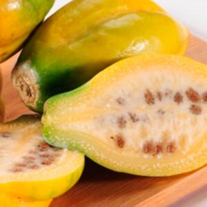 Papayuela de montaña