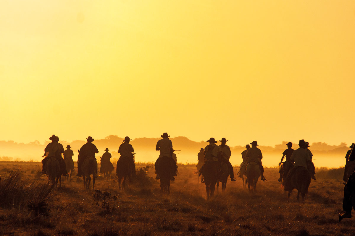 Safari llanero: un viaje a las profundidades de los Llanos colombianos
