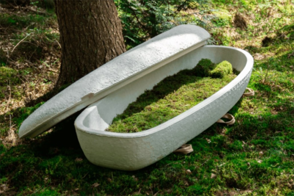 Adiós plástico: estos son los innovadores materiales que lo están reemplazando en todo el mundo