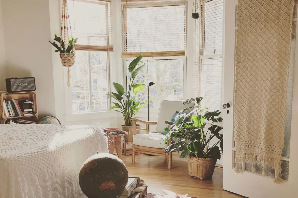 6 plantas saludables que debería tener en su habitación según la Nasa