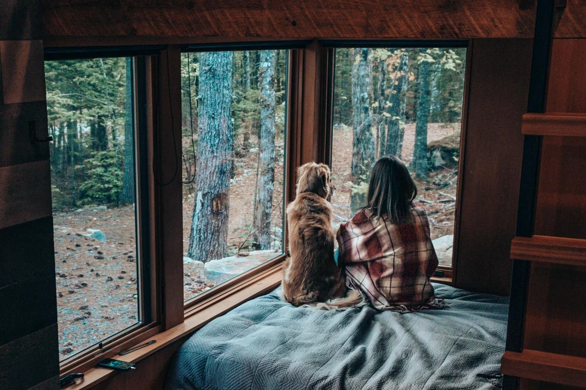 Así es la terapia asistida con perros para pacientes con depresión