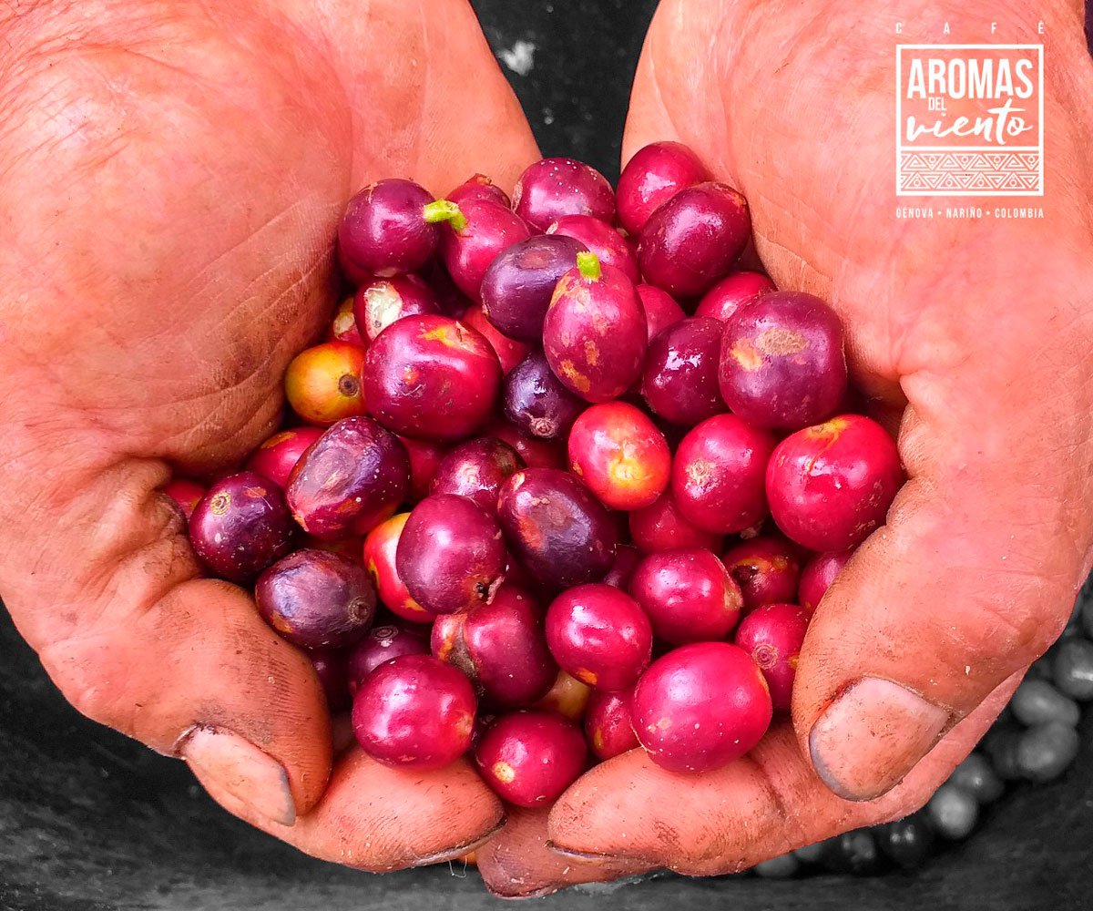 café Aromas del viento