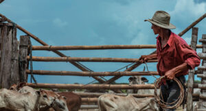 Casanare