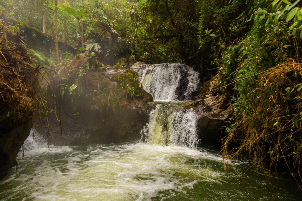 Reserva Termal San Vicente