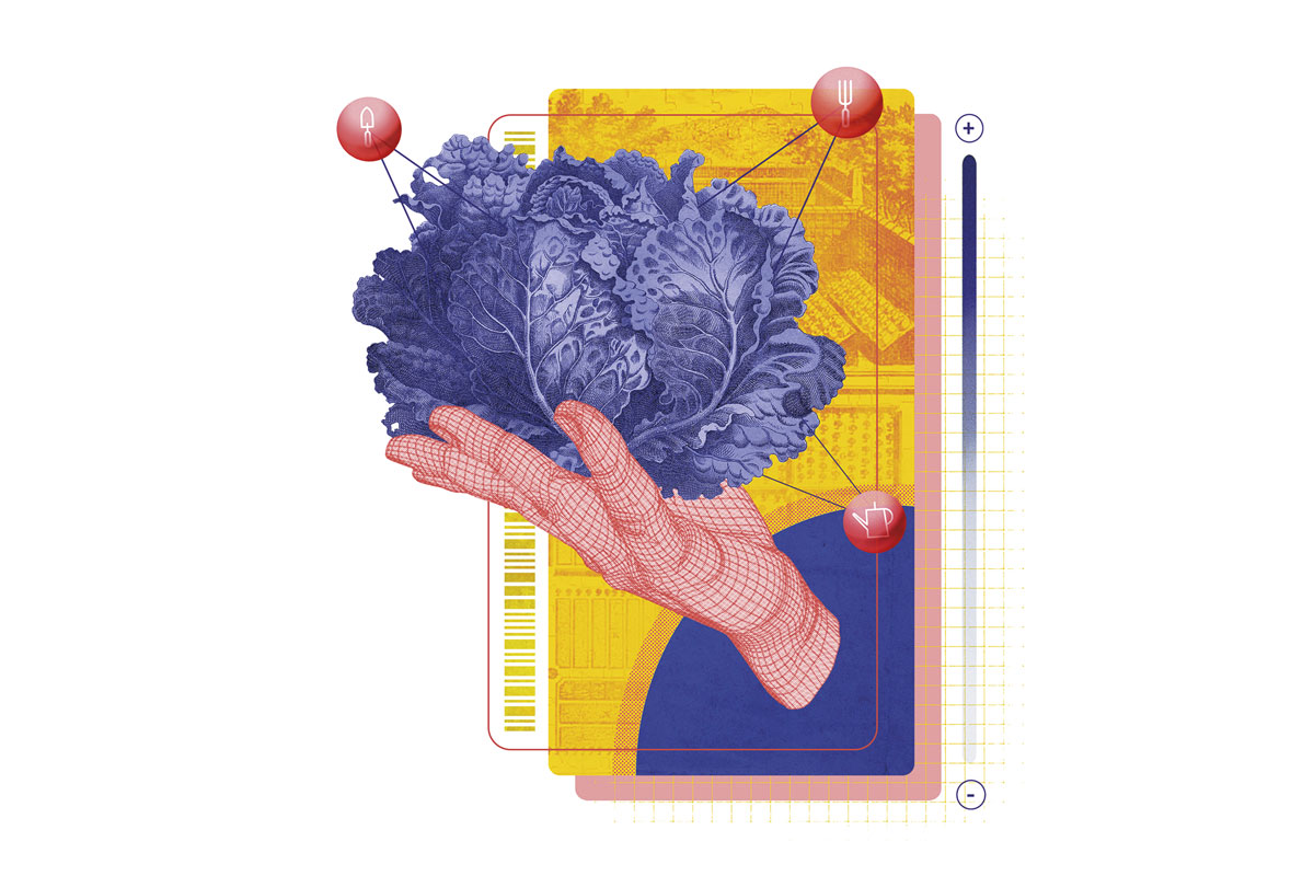 SiembraCo y la revolución de las siembras virtuales