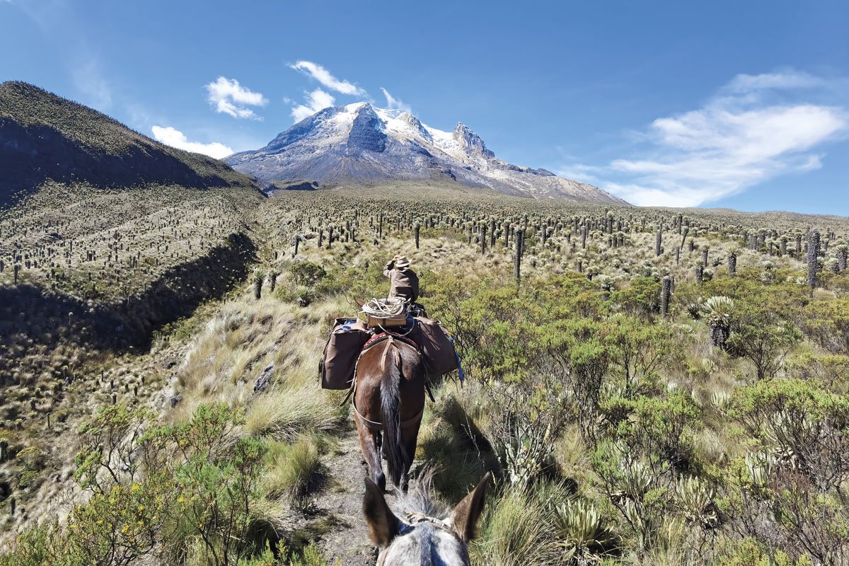 La travesía en mula por Suramérica de Simón Vergara