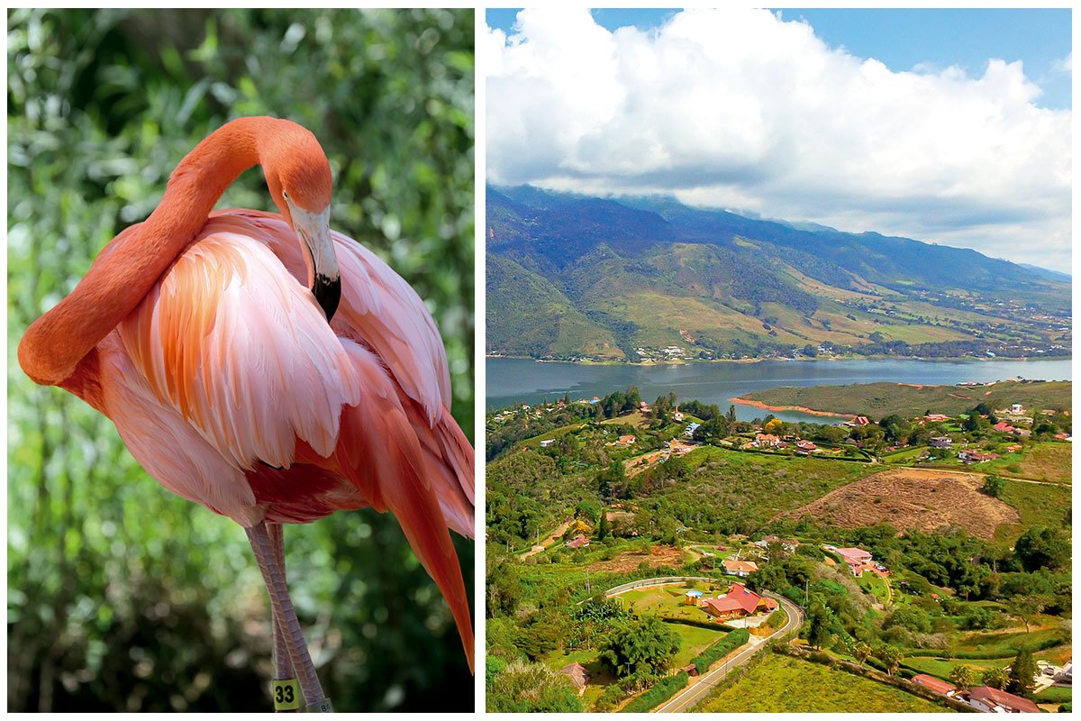 Cali y Riohacha, dos destinos para redescubrir Colombia