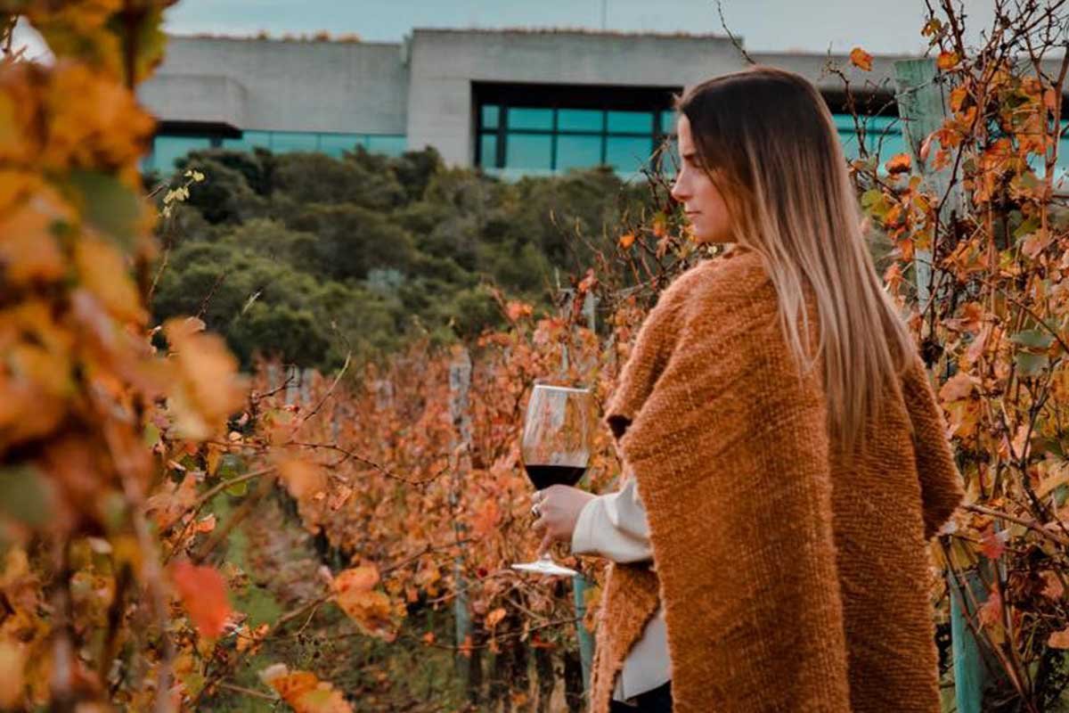 Uruguay, el gran desconocido de los vinos sudamericanos