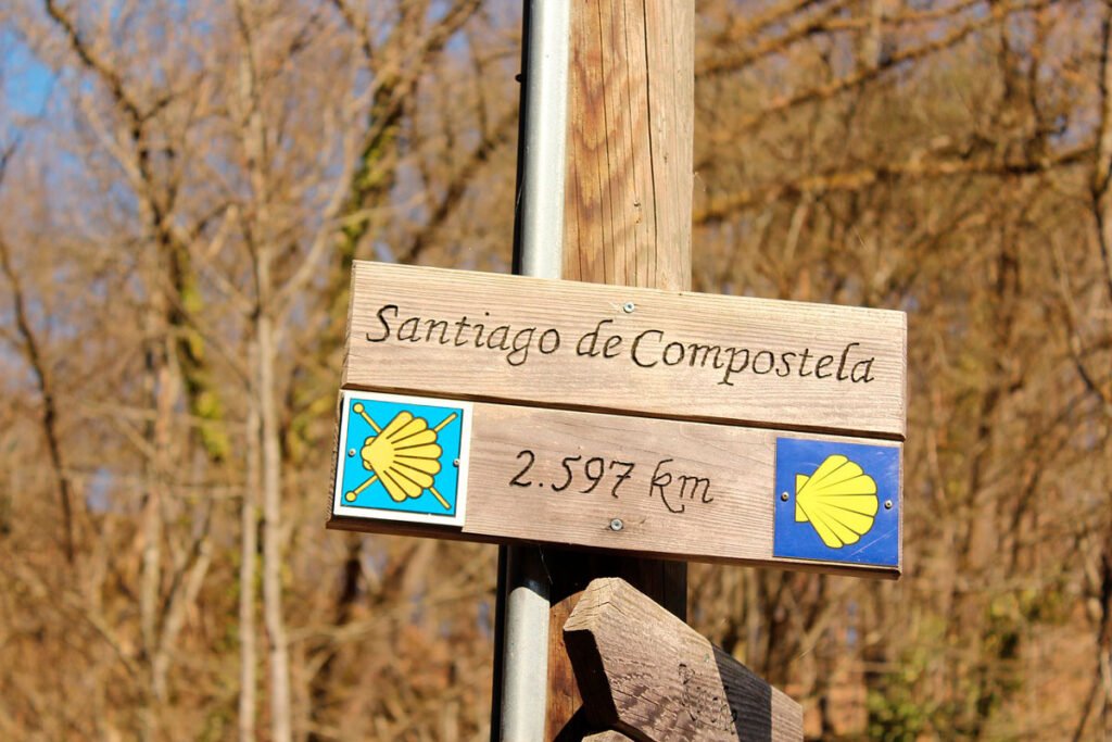 Camino