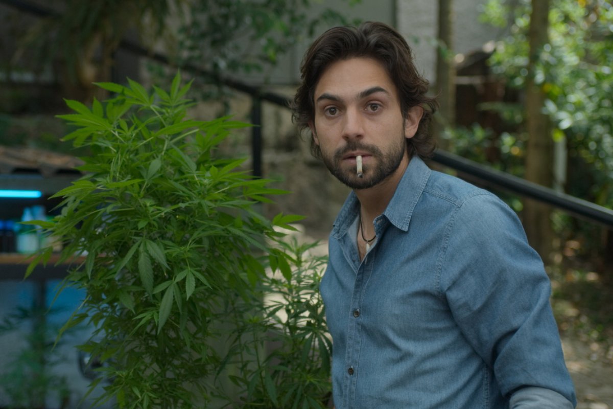 Malayerba: la serie que retrata el verdadero negocio del cannabis colombiano