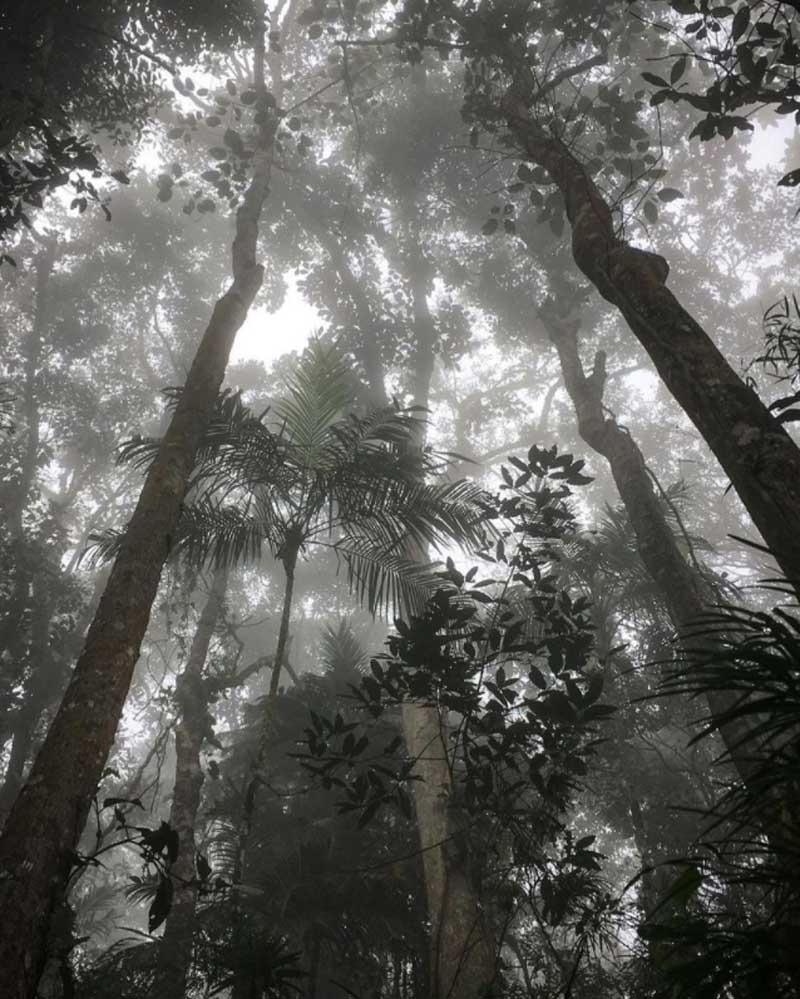 Chicaque